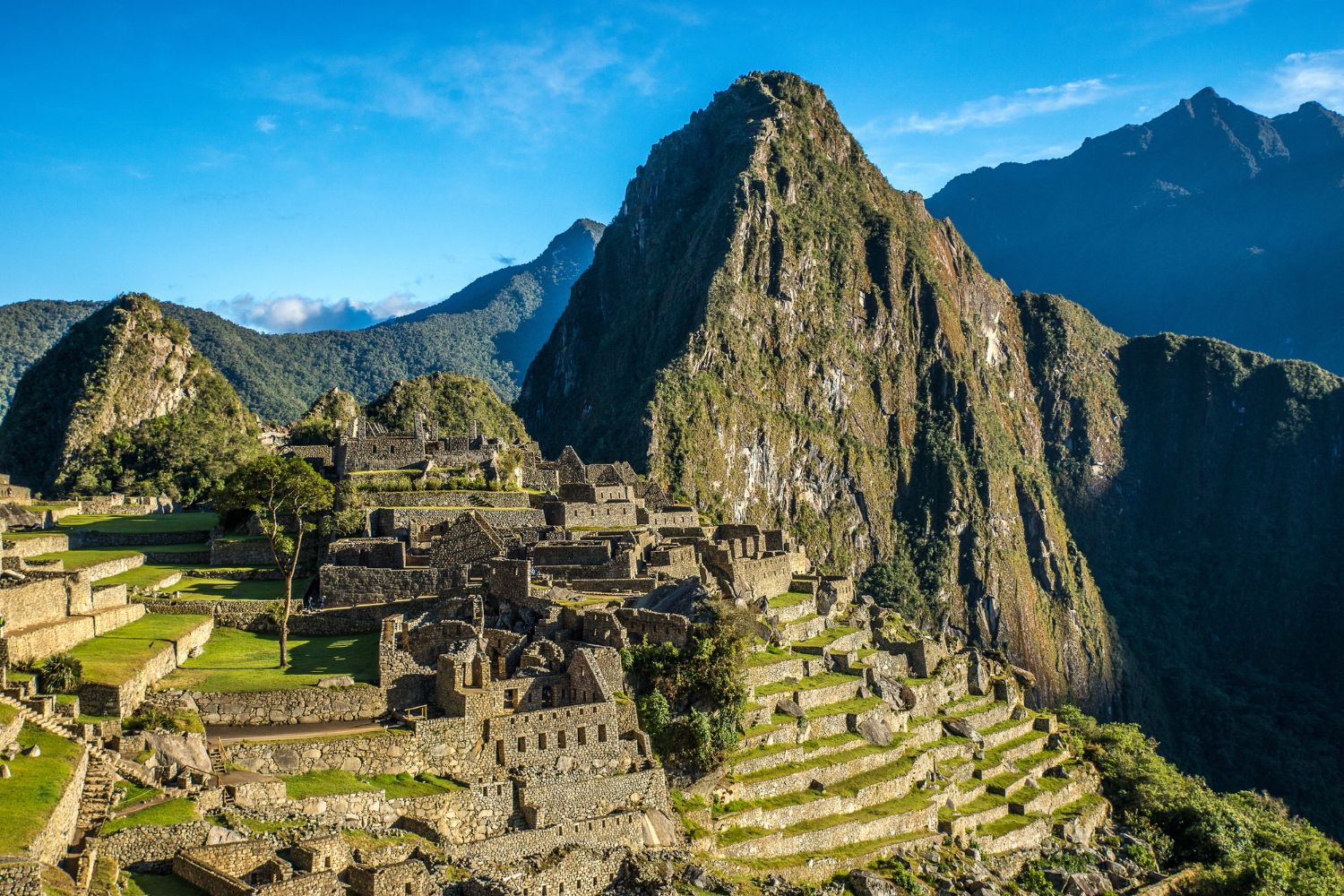 DÍA 6: Machu Picchu